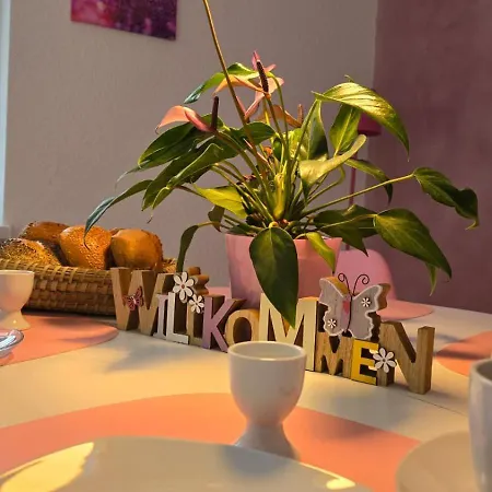 Happy Homes Pink - Dein Design-apartment Mit Wow-effekt - Netflix - Wlan - Parkplatz Nidda