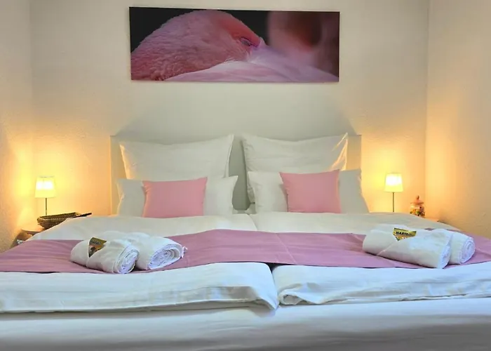 Happy Homes Pink - Dein Design-apartment Mit Wow-effekt - Netflix - Wlan - Parkplatz Nidda